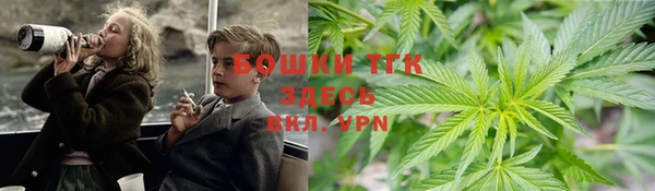 крисы Баксан
