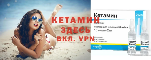 крисы Баксан