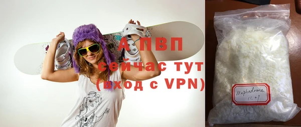 крисы Баксан