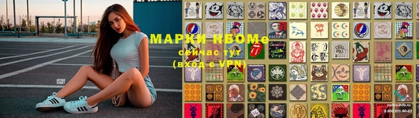 крисы Баксан
