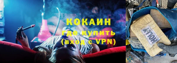 крисы Баксан